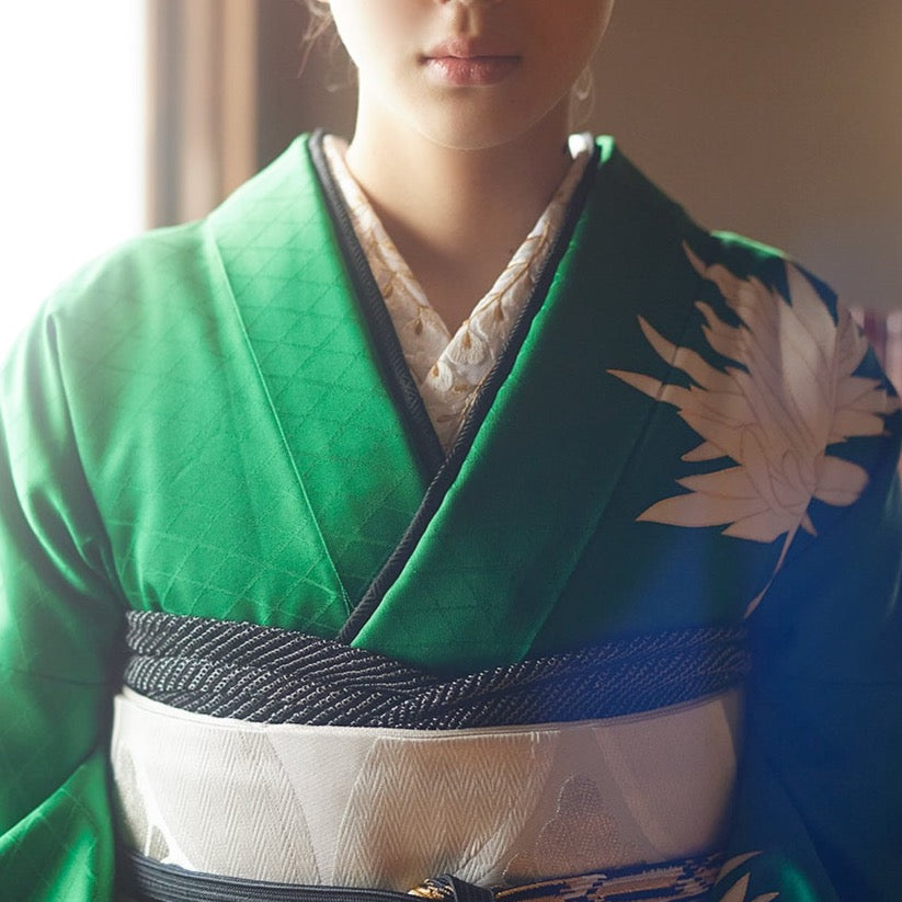Half-collar embroidery "wisteria" white