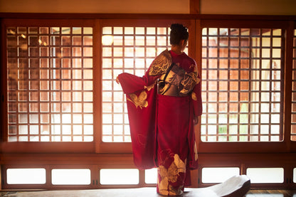 雪佳舞蝶：2027年成人式振袖レンタル