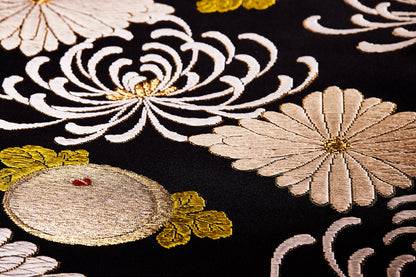 大菊：2027年成人式振袖レンタル