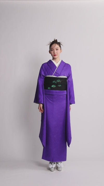 美品 紗綾形手描き古典柄正絹振袖・長襦袢セット fuset124m-14006_s1.jpg