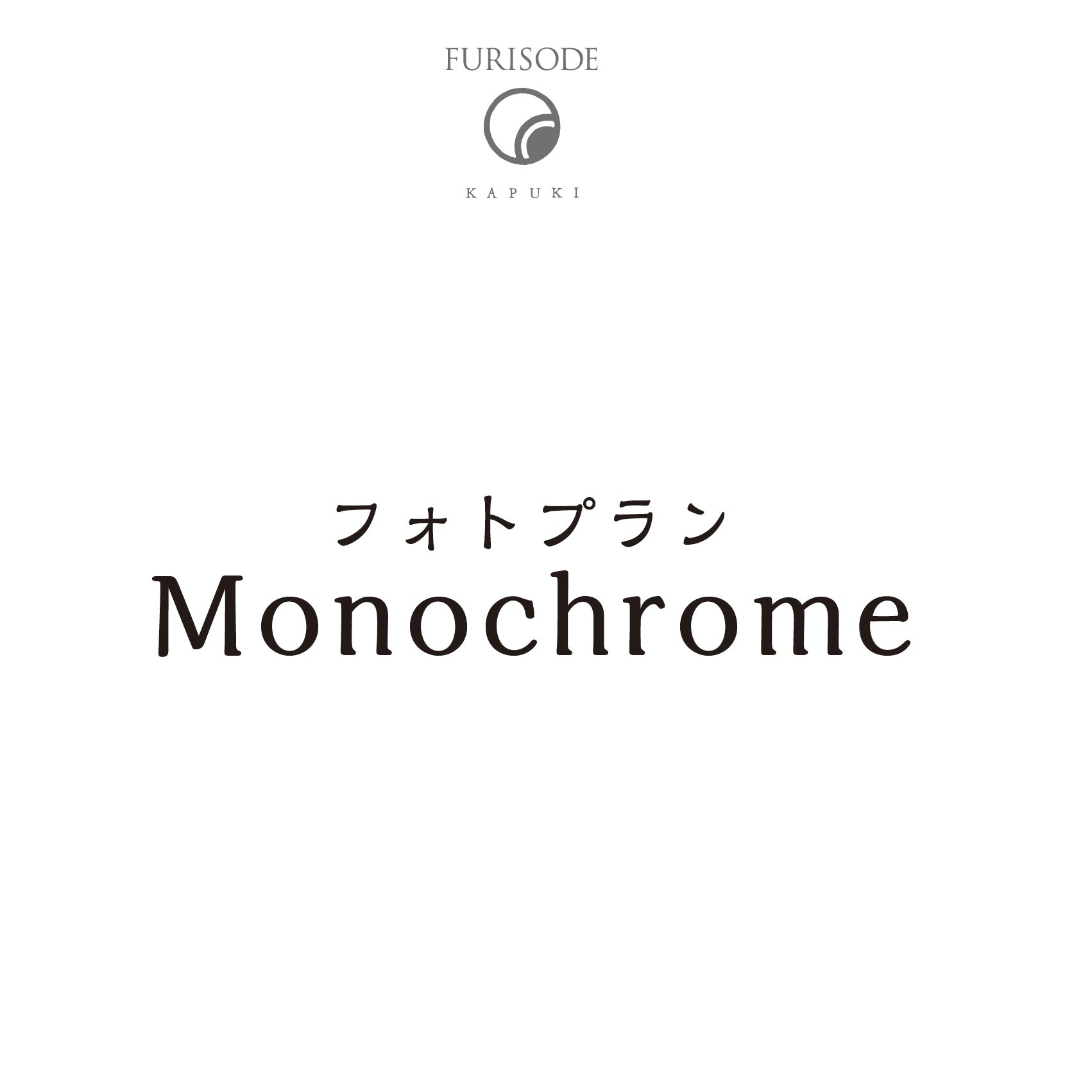 Photo Plan Monochrome